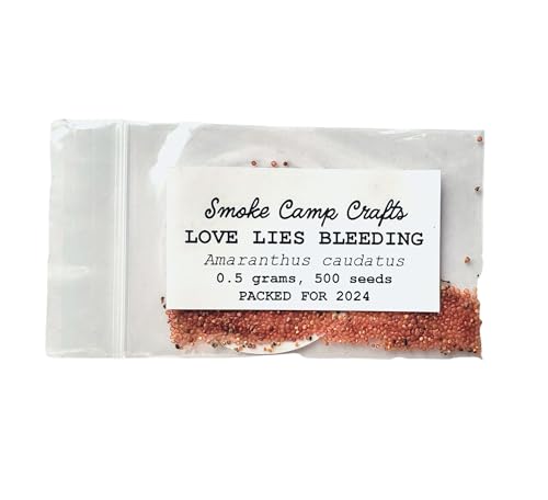 Organic Love Lies Bleeding Seeds