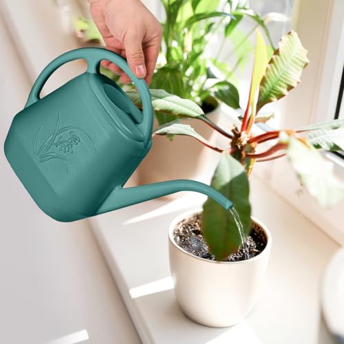 Plastic Watering Can (Green)