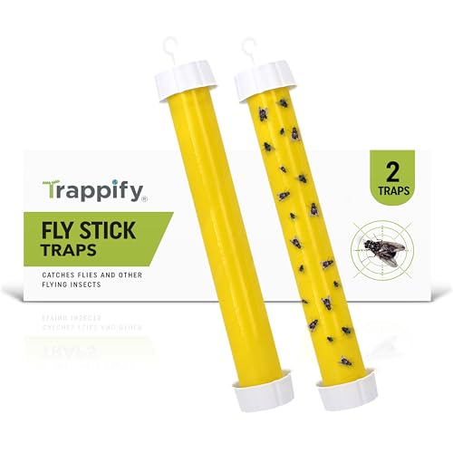 Hanging Fly Trap & Fruit Fly Traps for Indoors (2 Count)