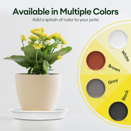 6 Pack 10" Plant Saucers Heavy Duty Plastic Plant Trays for Pots (6 Count)