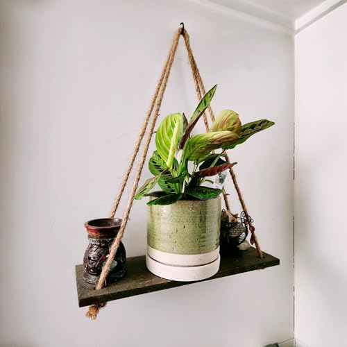 6 Inch Plant Pots