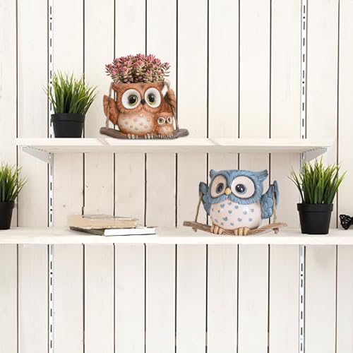 Swing Owl Hanging Planters for Indoor Plants