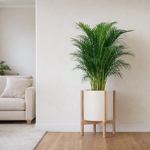 Plastic Pot with Natural Wood Stand (Oatmeal Pot + Natural Stand / 12 Inch)