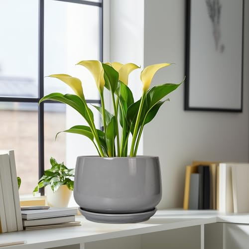 Ceramic Plant Pots
