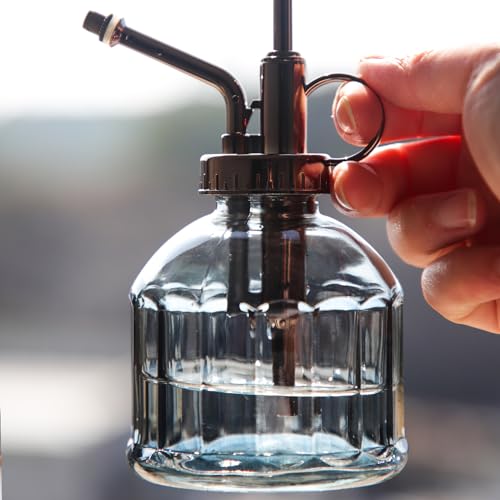 Glass Plant Spray Bottle