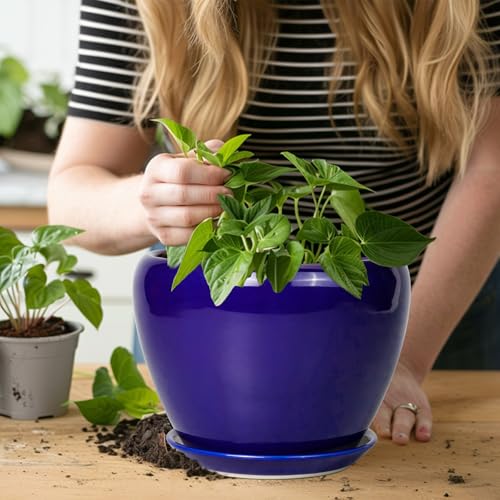 Ceramic Plant Pot 8 Inch