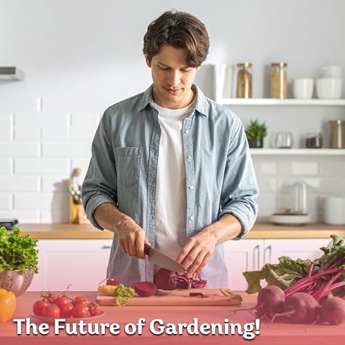 600 Detroit Dark Red Beet Heirloom Vegetable Seeds