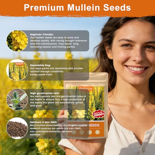 10 000+ Mullein Seeds for Planting