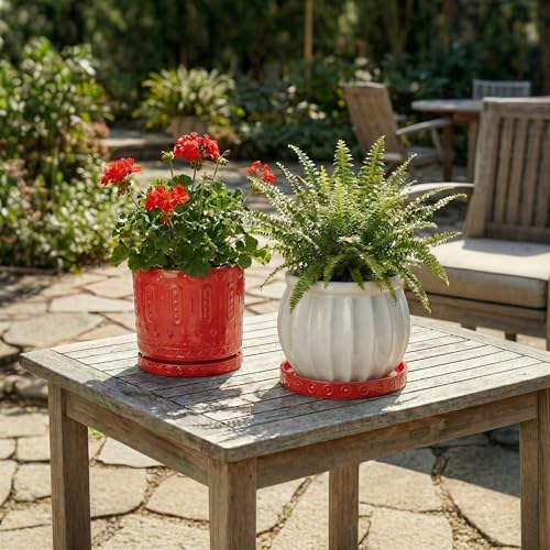 2 Pack Plant Plates to Catch Water (7.5 Inch (2 Pack) / Red)