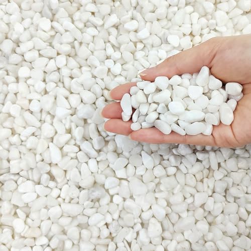 5 lbs White Pebbles for Indoor Plants