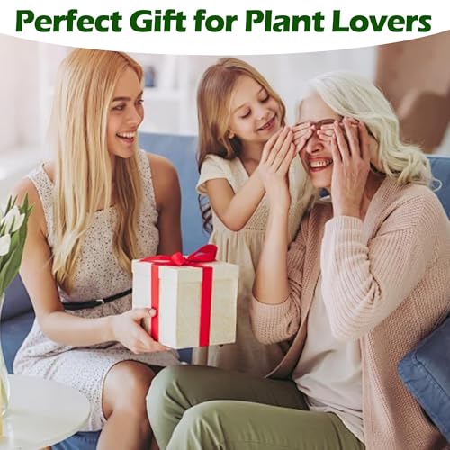 Wooden Bonsai Tree Starter Kit (27 Count)