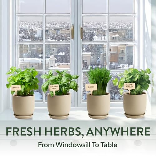 4 Herb Indoor Garden Kit