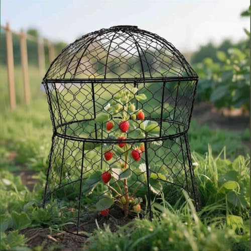 Garden Cloches for Plants 6 Pack Metal Plant Protectors from Animals Chicken Wire Cloche Updated Plant Cages for Outdoor Plants Vegetables Seedlings 13" D x 14" H (6 Pack)