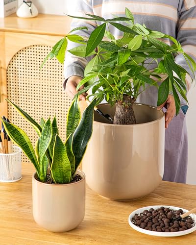 6+8+10 inches Ceramic Plant Pots (3 Count)