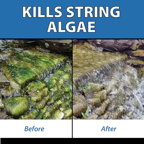 AlgaeOff String Algae Killer for Pond & Water Garden (25 Pounds)