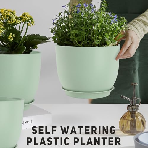 Plant Pots 10 (5 Count)