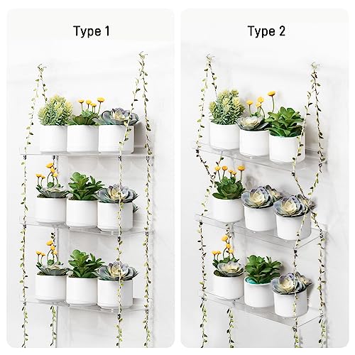 Acrylic Window Boxes Plant Shelves 3 Tier (3 Count)
