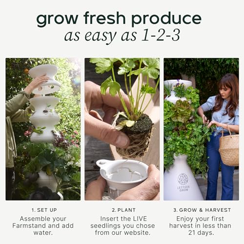 Farmstand Outdoor Starter Kit