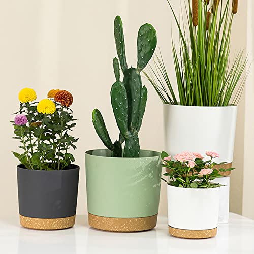 Plant Pots Set of 6 6.5'' Self Watering Plastic Planter with Drainage Hole and Saucer (6 Count)