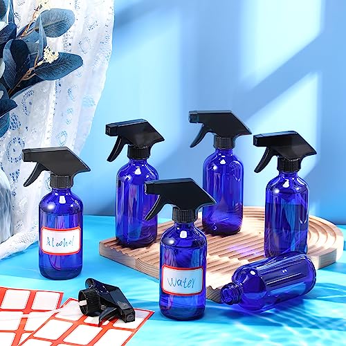 12 Pcs 8 oz Glass Spray Bottles