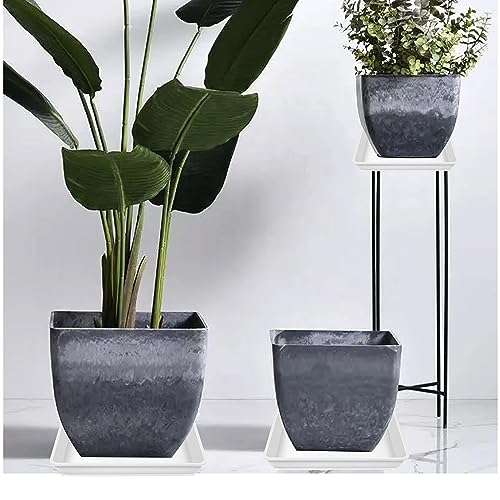 5 Pack Square Plant Saucer 12 Inch