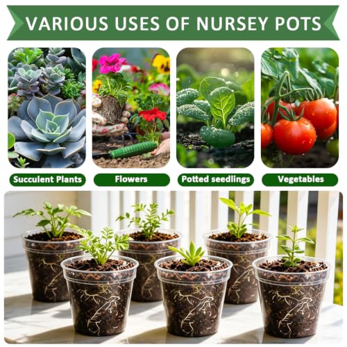2.5" Clear Seeding Pots 100 (100 Count)