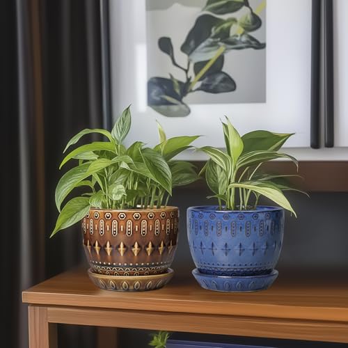 5.5 Inch Plant Pot