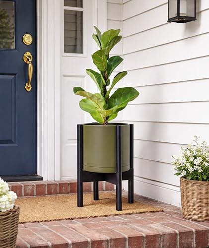 Plastic Pot with Ebony Wood Stand (Olive Pot + Ebony Stand / 8 Inch)