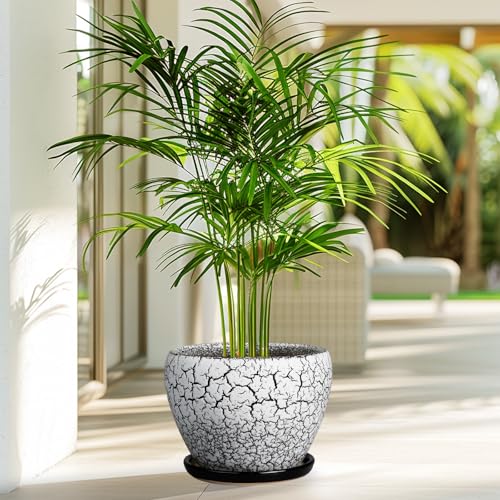 Ceramic Plant Pot 8 Inch