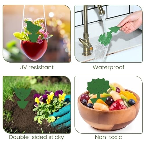 200 Sheets Fruit Fly Sticky Traps for Fruit Fly Gnat Trap for House Indoors Sticky Traps Catcher for Gnats Fungus Gnats Mosquito Catcher for Kitchen Outdoor Plants (200 Count)