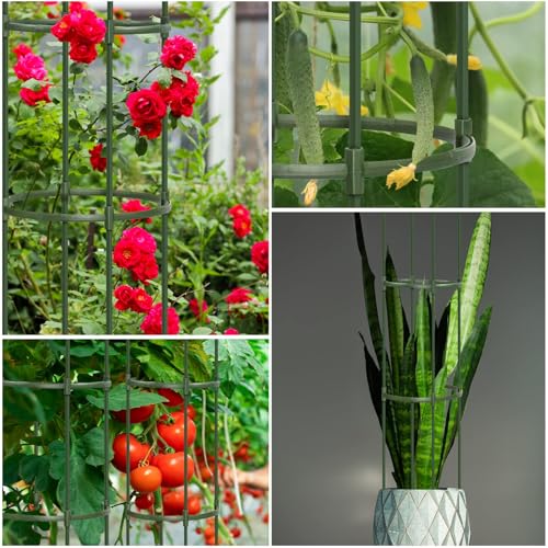 Round Heavy Duty Tomato Cage