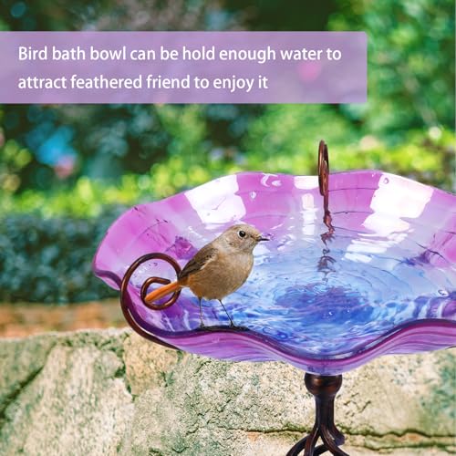 Glass BirdBaths