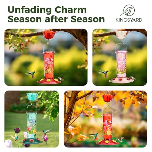 2 Pack Hummingbird Feeders for Outdoor Hanging (Red)