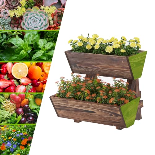 Vertical Garden Planter 2 tier Raised Garden Bed Tiered Wood Planter Box (Carbonized / 2-Tier-Small)