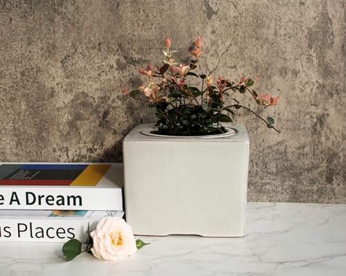 Ceramic African Violet Self Watering Pot 6 Inch Square Pot 3.5 Inch Innter Pot Easy Fill Water Reservoir White (White)