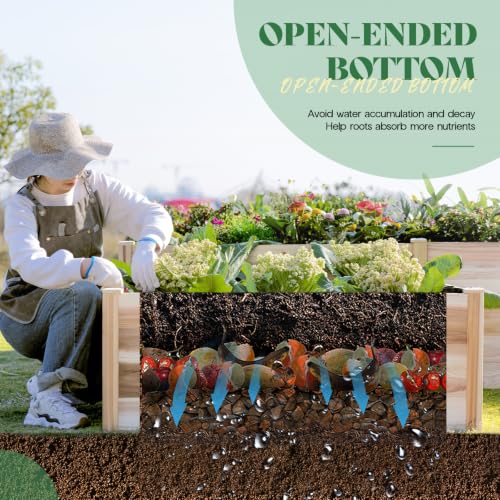 H Shaped Raised Garden Bed (12 x 12 x 2 FT)