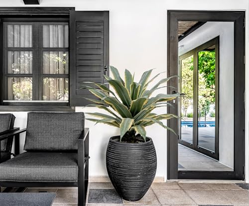 32 Inch Tall Large Faux Agave Plant with Two