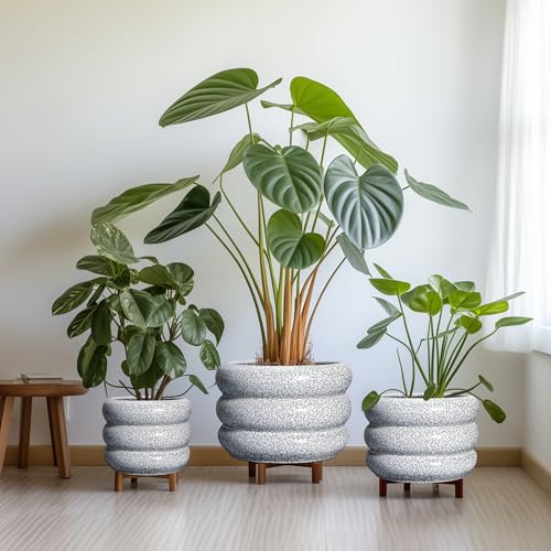 Ceramic Planter