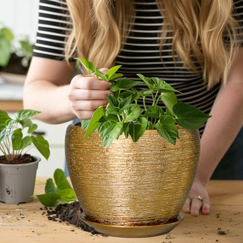 Ceramic Plant Pot 8 Inch