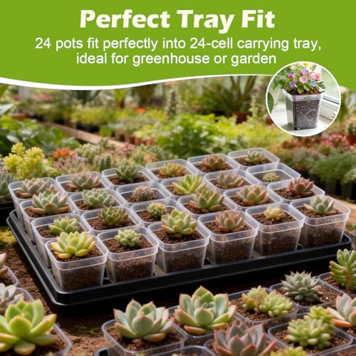 2.7 Inch Square Nursery Pots (Clear Pot+domes / 2.7" 60P)