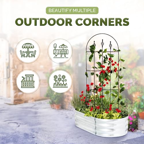Decorative Metal Trellis for Climbing Plants Outdoor
