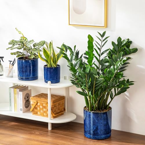 Ceramic Planters (3 Count)
