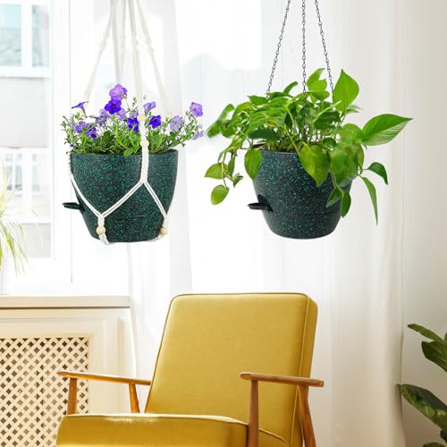 10 inch Self Watering Hanging Planters (2 Count)