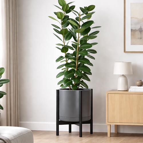 Ceramic Pot with Ebony Wood Stand (14 Inch / Grey Pot + Ebony Stand)