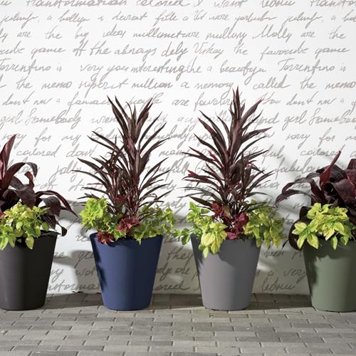 Madison Planter