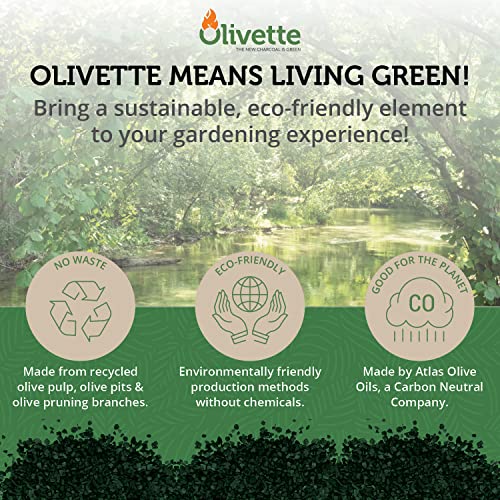 Organic Biochar Activated Charcoal for Plants