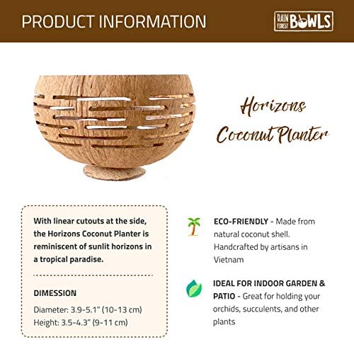 Set of 4 Horizons Coconut Planters w (4 Count)