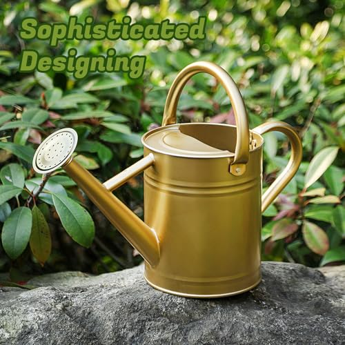 1 Gallon Watering Can for Plants