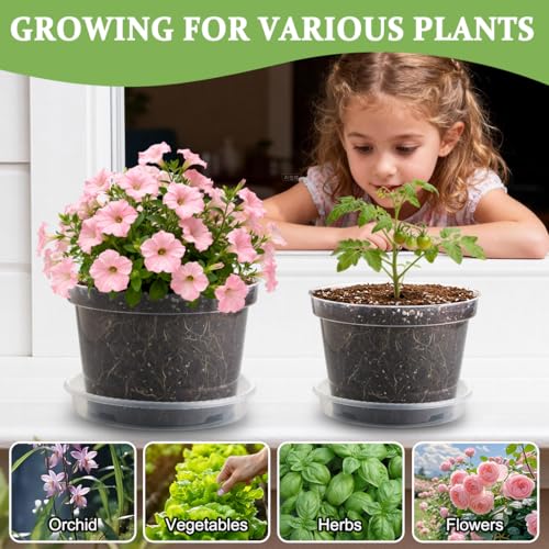 12 Pack 8 Inch Clear Plant Pots with Saucers (Clear / 8 Inch 12 Pack)