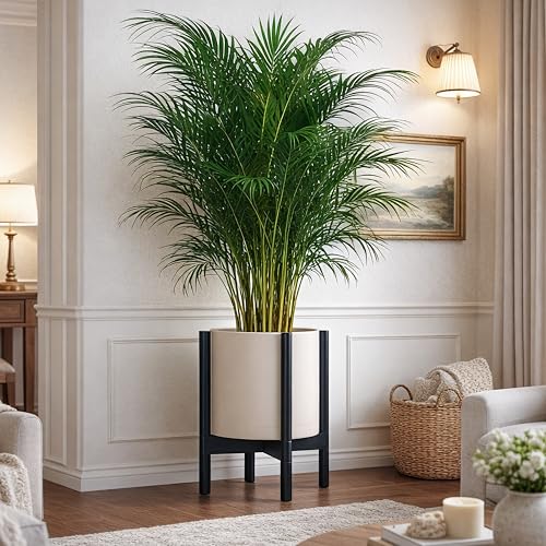 Plastic Pot with Ebony Wood Stand (Oatmeal Pot + Ebony Stand / 12 Inch)